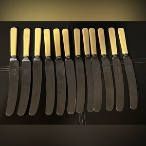Set of 12 Vintage Sheffield RustFri Bakelite knives